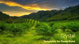  Presentation with rainforest - Amazing slides having rainforest-of-khao-sok-national backdrop and a tawny brown colored foreground