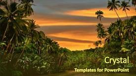  Presentation with rainforest - Slide set having sway - rainforest river cruise in sunset background and a tawny brown colored foreground