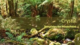  Presentation with rainforest - Colorful presentation design enhanced with rainforest-scenic-victoria-australia backdrop and a tawny brown colored foreground