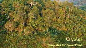  Presentation with oil palm plantation - Beautiful PPT theme featuring rainforest-trees-on-edge backdrop and a tawny brown colored foreground