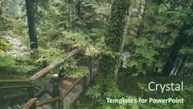  Presentation with rainforest - Cool new PPT layouts with rainforest woman hiking through vancouver forest park in autumn on boardwalk outdoor lifestyle backdrop and a tawny brown colored foreground
