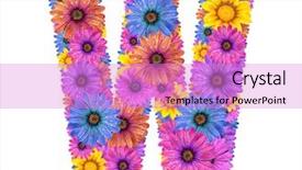  Presentation with alphabet - Colorful theme enhanced with raining letters - alphabet of colorful dewy flowers backdrop and a lilac colored foreground
