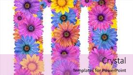  Presentation with alphabet - Audience pleasing slides consisting of raining letters - alphabet of colorful dewy flowers backdrop and a lilac colored foreground