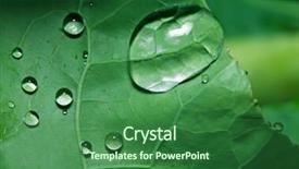  Presentation with green leaf - Presentation theme featuring rainwater - macro shot of drops background and a forest green colored foreground