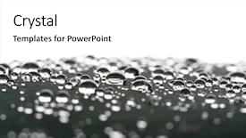  Presentation with water drops - Audience pleasing slide deck consisting of rainwater - water drops backdrop and a white colored foreground