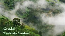  Presentation with foggy - Presentation theme enhanced with rainy and foggy landscape background and a tawny brown colored foreground