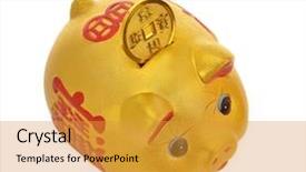  Presentation with piggy bank - Amazing presentation theme having rainy coins - chinese golden piggy bank backdrop and a gold colored foreground