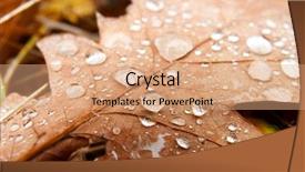  Presentation with rainy days season - PPT theme with rainy days season - fallen autumn leaves with raindrops background and a coral colored foreground