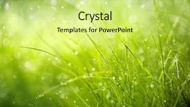  Presentation with rainy days season - Colorful slides enhanced with rainy days season - morning dew on spring grass backdrop and a soft green colored foreground