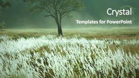  Presentation with mystic - PPT layouts enhanced with rainy days season - mystic landscape background and a ocean colored foreground