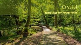  Presentation with croatia - Presentation design with rainy-forest-in-the-spring background and a tawny brown colored foreground