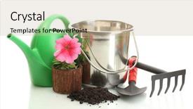  Presentation with tools and foundry - Theme featuring baby thai eggplant isolated on white background background and a pink colored foreground