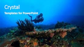  Presentation with raja ampat - Colorful presentation design enhanced with raja ampat - scuba dive coral reef underwater backdrop and a light gray colored foreground