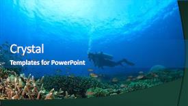  Presentation with raja ampat - Colorful slide set enhanced with raja ampat - scuba dive coral reef backdrop and a teal colored foreground