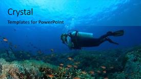  Presentation with raja ampat - Colorful presentation theme enhanced with raja ampat - scuba dive coral reef backdrop and a light gray colored foreground