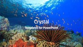  Presentation with raja ampat - Slides having raja ampat - underwater coral reef with featherstars background and a ocean colored foreground
