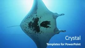  Presentation with raja ampat - Presentation theme enhanced with raja ampat indonesia pacific ocean background and a ocean colored foreground