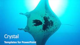  Presentation with raja ampat - Colorful PPT layouts enhanced with raja ampat indonesia pacific ocean backdrop and a teal colored foreground