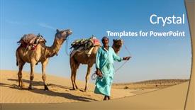  Presentation with rajasthan travel indian cameleer - Slide deck consisting of rajasthan travel background - indian cameleer background and a teal colored foreground