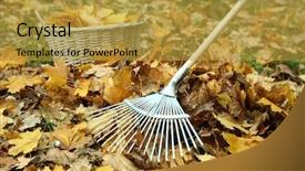  Presentation with green lawn - Cool new PPT layouts with rake - cleaning of autumn leaves backdrop and a gold colored foreground