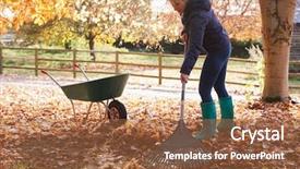  Presentation with autumn leaves - Amazing presentation design having rake - mature woman raking autumn leaves backdrop and a red colored foreground