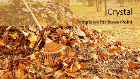  Presentation with fall leaves border - Slides with fan rake and pile background and a yellow colored foreground