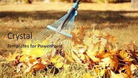  Presentation with fall leaves - Presentation theme featuring raking fall leaves with rake background and a yellow colored foreground