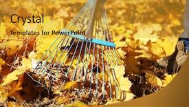  Presentation with fall leaves border - Presentation design featuring raking fall leaves with rake background and a gold colored foreground