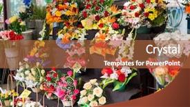  Presentation with flower 3d animation - Audience pleasing PPT theme consisting of rambla - flower stall on barcelona street backdrop and a  colored foreground
