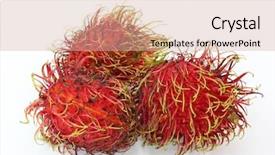  Presentation with rambutan - PPT theme having rambutan-fruits-isolated-on-white background and a soft green colored foreground