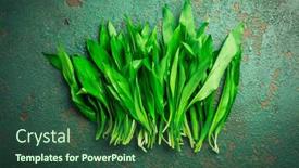  Presentation with kitchen - Theme enhanced with ramson-or-bear-leek-allium background and a ocean colored foreground