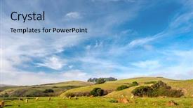  Presentation with ranch - Colorful presentation theme enhanced with ranch - highland cows on a field backdrop and a light blue colored foreground