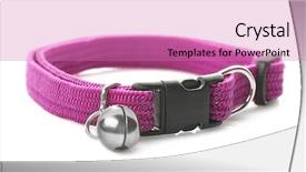  Presentation with pet - PPT layouts enhanced with rand - pet collar on white background background and a coral colored foreground
