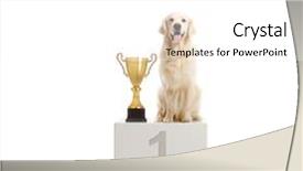  Presentation with trophy - Colorful presentation theme enhanced with ranking - labrador retrievr dog standing backdrop and a white colored foreground