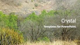  Presentation with rural india part - Slides with ranthambore national park india asia background and a gray colored foreground
