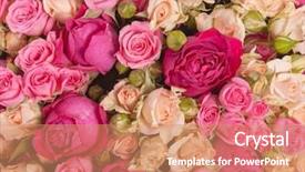  Presentation with flower wedding - Colorful PPT layouts enhanced with ranunculus asiaticus as a background backdrop and a coral colored foreground