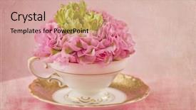  Presentation with tea cup - Theme having ranunculus flower in a tea background and a coral colored foreground