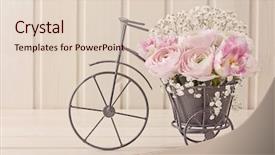  Presentation with bicycle - Amazing presentation design having ranunculus flowers in a bicycle backdrop and a lemonade colored foreground