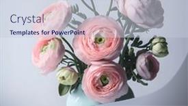  Presentation with colore - Presentation featuring ranunculus-flowers-in-vase-beautiful background and a lemonade colored foreground