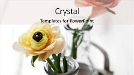  Presentation with yellow orange - PPT layouts having ranunculus in pale yellow and orange background and a lemonade colored foreground