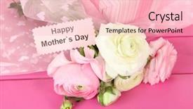  Presentation with persian - PPT layouts with ranunculus persian buttercups and gift on pink wooden background background and a lemonade colored foreground