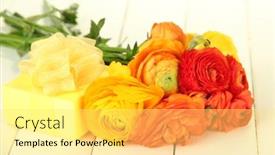  Presentation with persian - Theme enhanced with ranunculus persian buttercups and gift on white wooden background background and a yellow colored foreground