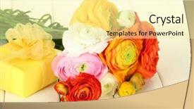  Presentation with persian - Colorful PPT theme enhanced with ranunculus persian buttercups and gift on white wooden background backdrop and a blonde colored foreground