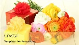  Presentation with persian - Theme with ranunculus persian buttercups and gifts on white wooden background background and a blonde colored foreground