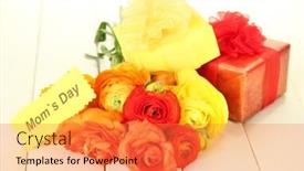  Presentation with mothers - Beautiful theme featuring ranunculus persian buttercups and gifts for mothers day on white wooden background backdrop and a red colored foreground