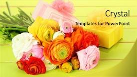  Presentation with persian - Presentation with ranunculus persian buttercups and gifts on green wooden background background and a blonde colored foreground