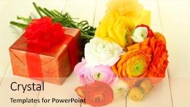  Presentation with persian - PPT layouts enhanced with ranunculus persian buttercups and gifts on white wooden background background and a coral colored foreground