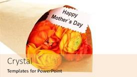  Presentation with mothers day - Colorful slide deck enhanced with ranunculus persian buttercups for mothers day isolated on white backdrop and a yellow colored foreground