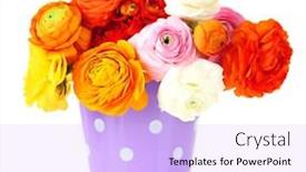  Presentation with persian - Audience pleasing slide deck consisting of ranunculus-persian-buttercups-in-pail backdrop and a light blue colored foreground