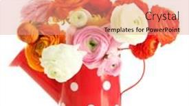  Presentation with persian - Audience pleasing PPT theme consisting of ranunculus-persian-buttercups-in-watering backdrop and a coral colored foreground